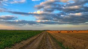 Abendhimmel über weitem Feld
